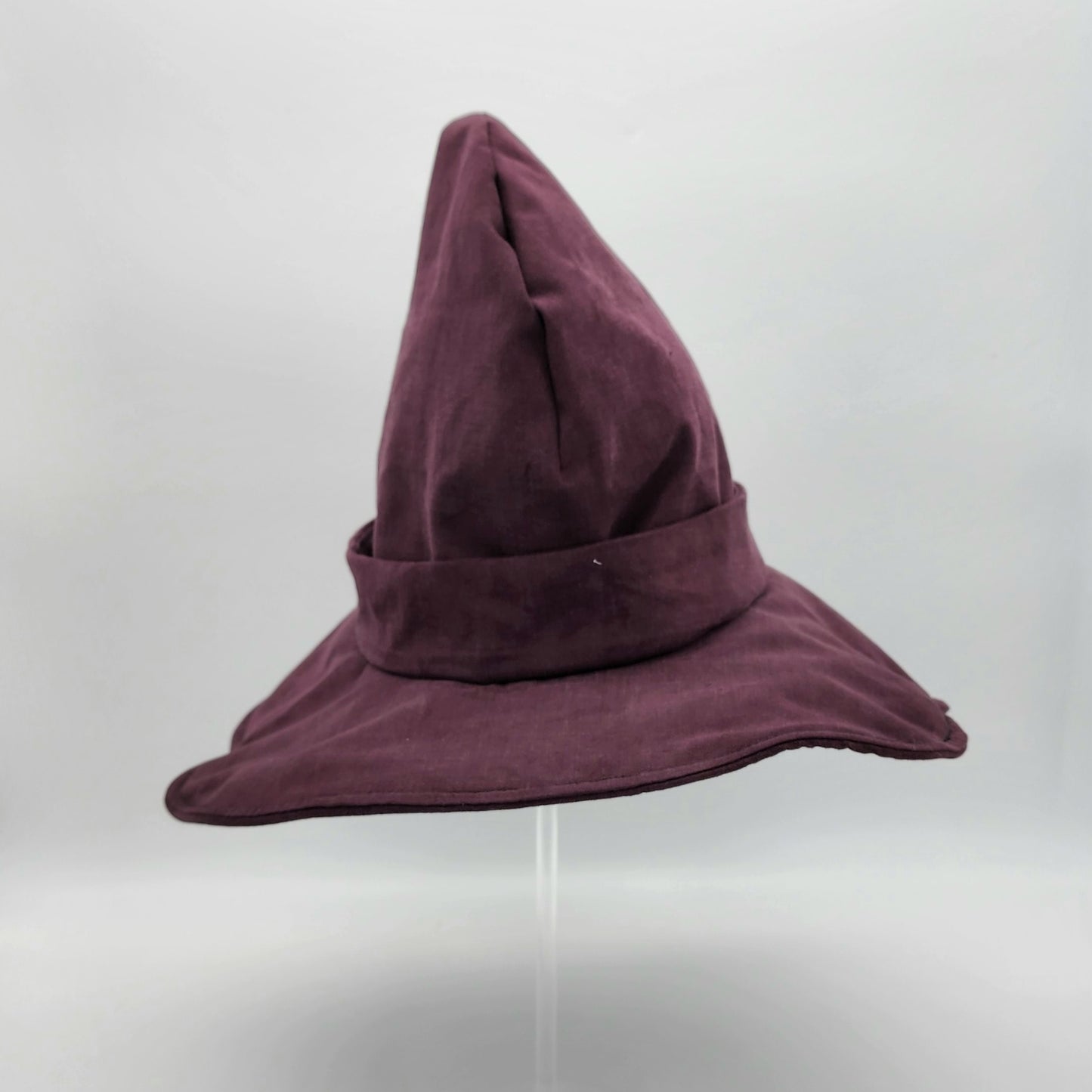 Butterfly Witch Hat- Plum with Gold and White Embroidery
